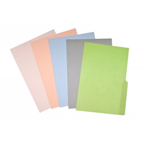 Carpeta c/oreja oficio Beige